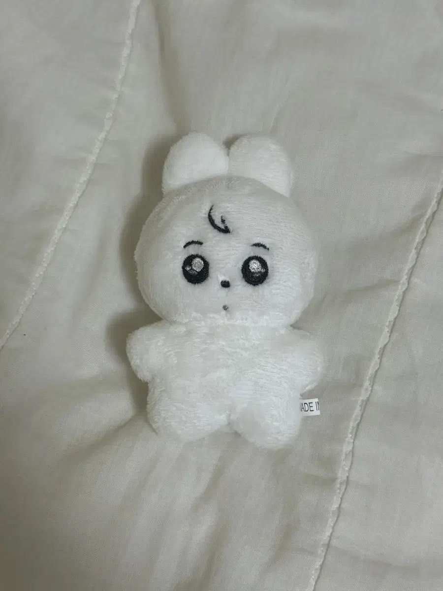 토뭉이 양도 정국인형